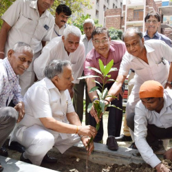 Ek Ped Maa Ke Naam Abhiyan (3 Aug 2024) MATES